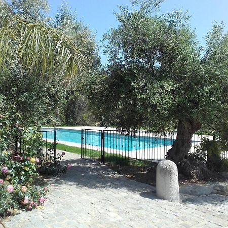La Bastide De L'Oliveraie Le Castellet  Buitenkant foto