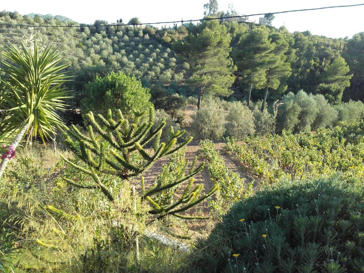 La Bastide De L'Oliveraie Le Castellet  Buitenkant foto