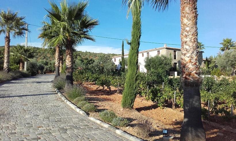 La Bastide De L'Oliveraie Le Castellet  Buitenkant foto
